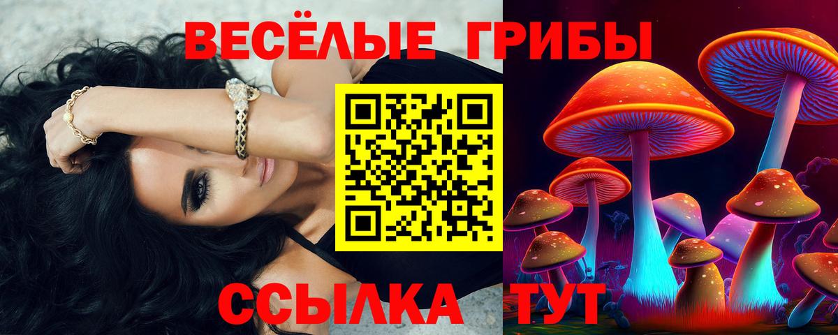Псилоцибиновые грибы Psilocybine cubensis  Вход с VPN  Тверь  Галлюциногенные грибы MAGIC MUSHROOMS 